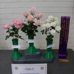class 2