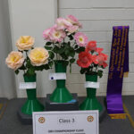 class 3