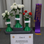 class 4