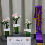 class 5