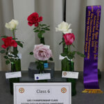 class 6