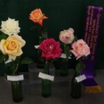 exhibition ht